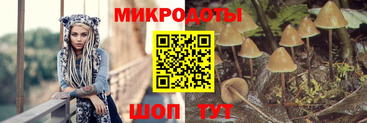Псилоцибиновые грибы MAGIC MUSHROOMS  Вход с VPN  Галлюциногенные грибы мицелий  Тутаев 